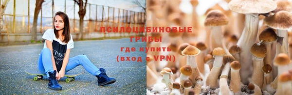 гидропоника Лиски